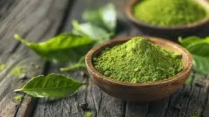 Green tea extract ingredient