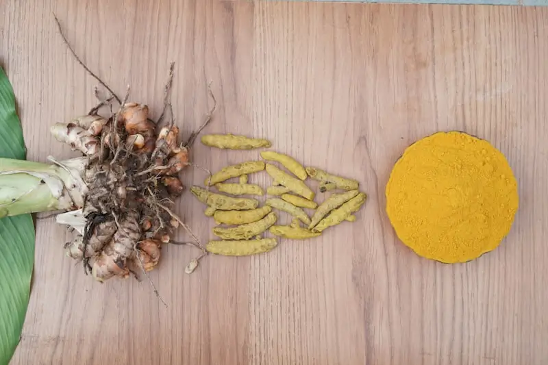 Berberine botanical ingredients