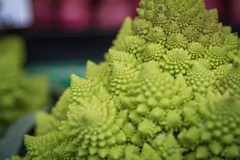 Chromium-rich green vegetable close-up